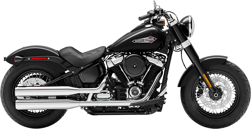 2020 Harley-Davidson Softail Slim [30]
