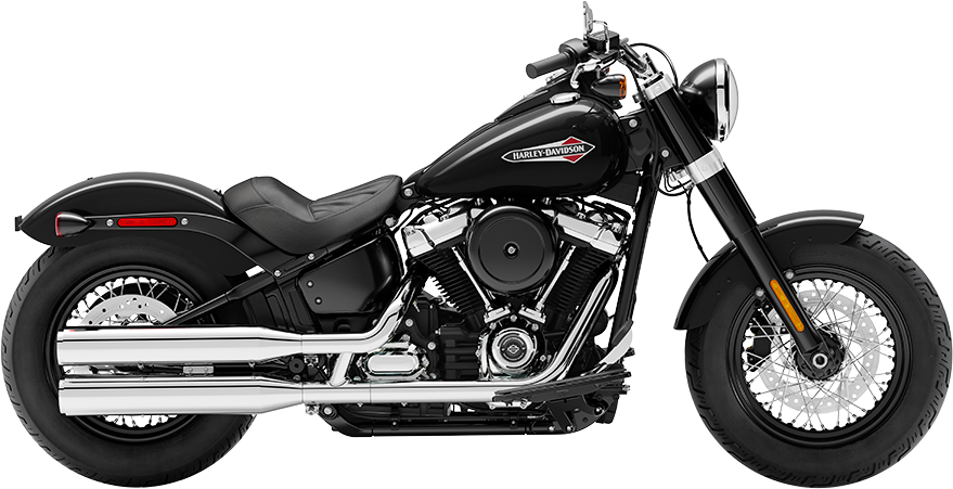 2020 Harley-Davidson Softail Slim [5]