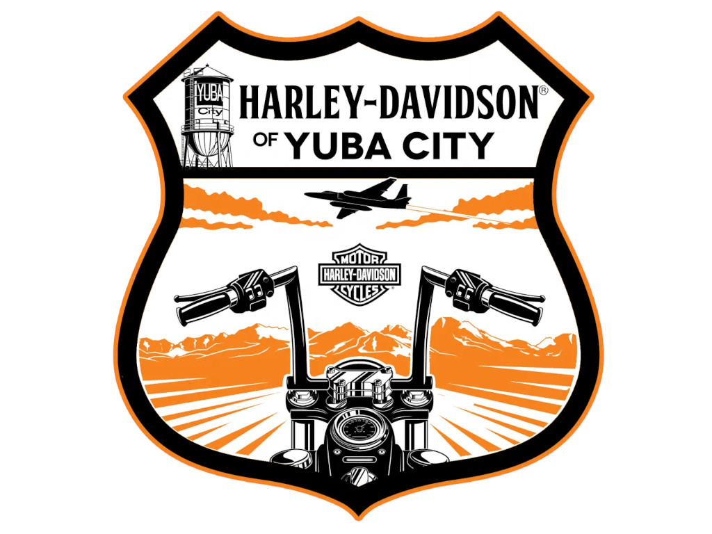 2006 Harley-Davidson FXDBI [4]