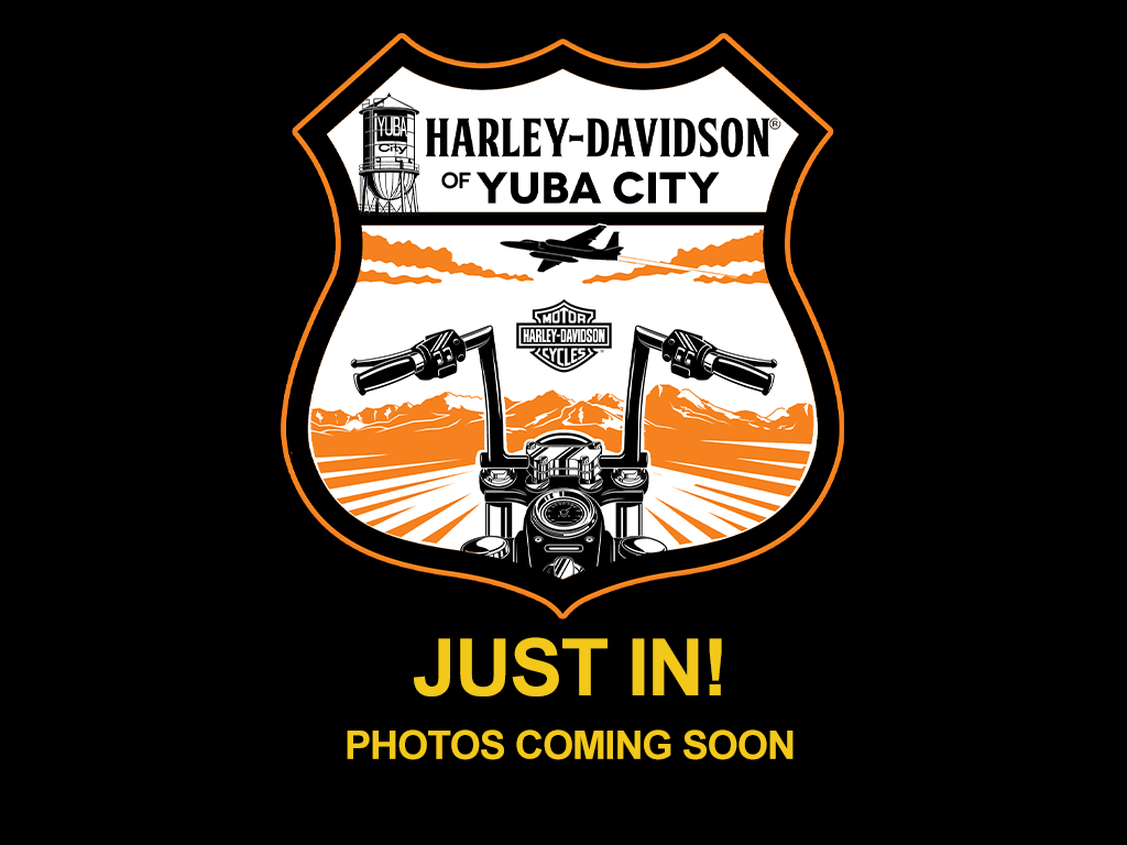 2020 Harley-Davidson Road Glide Limited [3]
