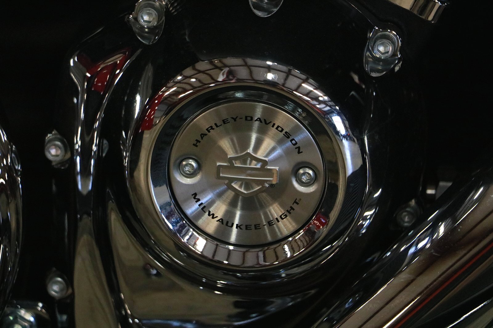 2021 Harley-Davidson Tri-Glide [11]