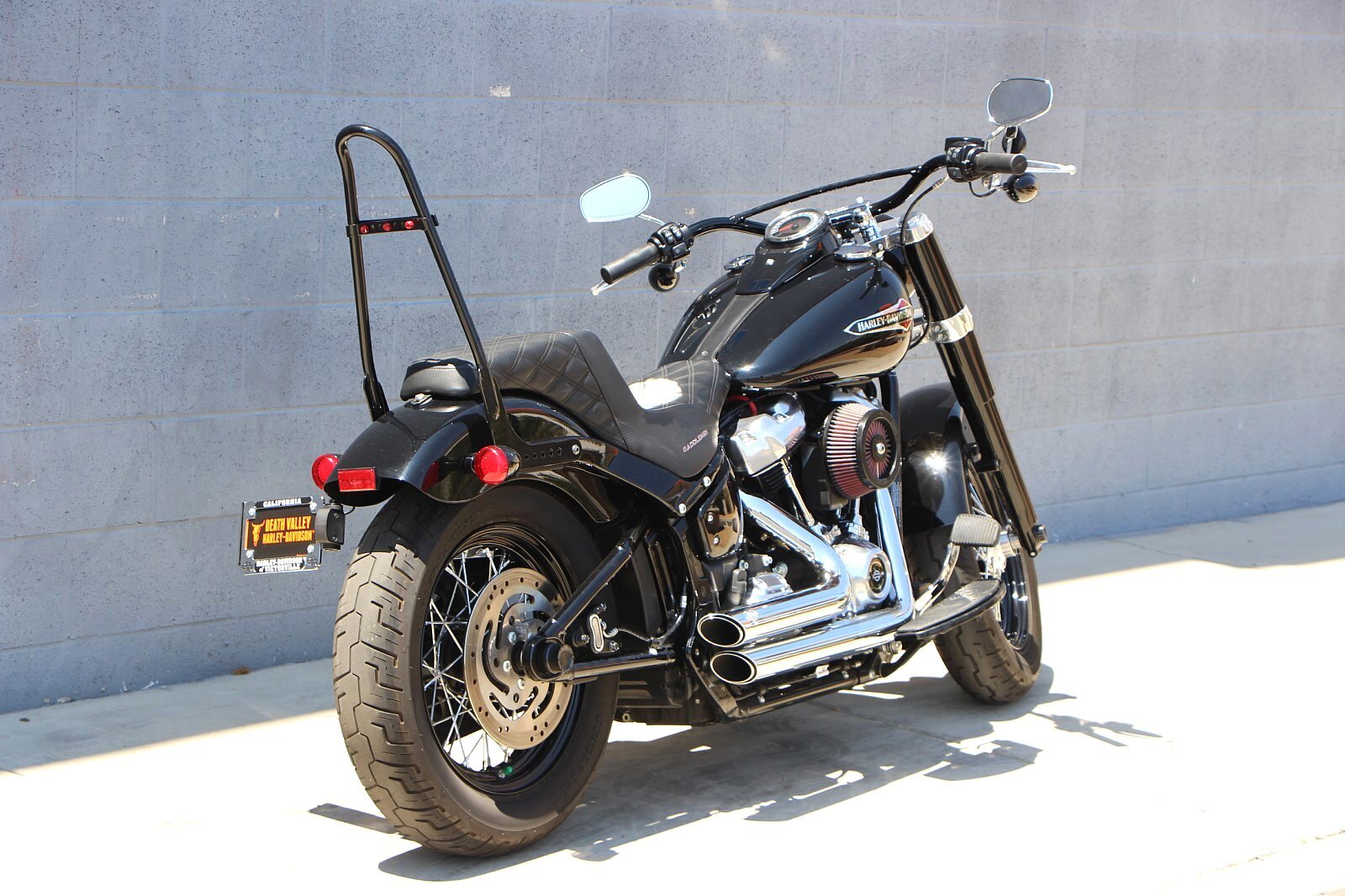 2019 Harley-Davidson Slim [10]