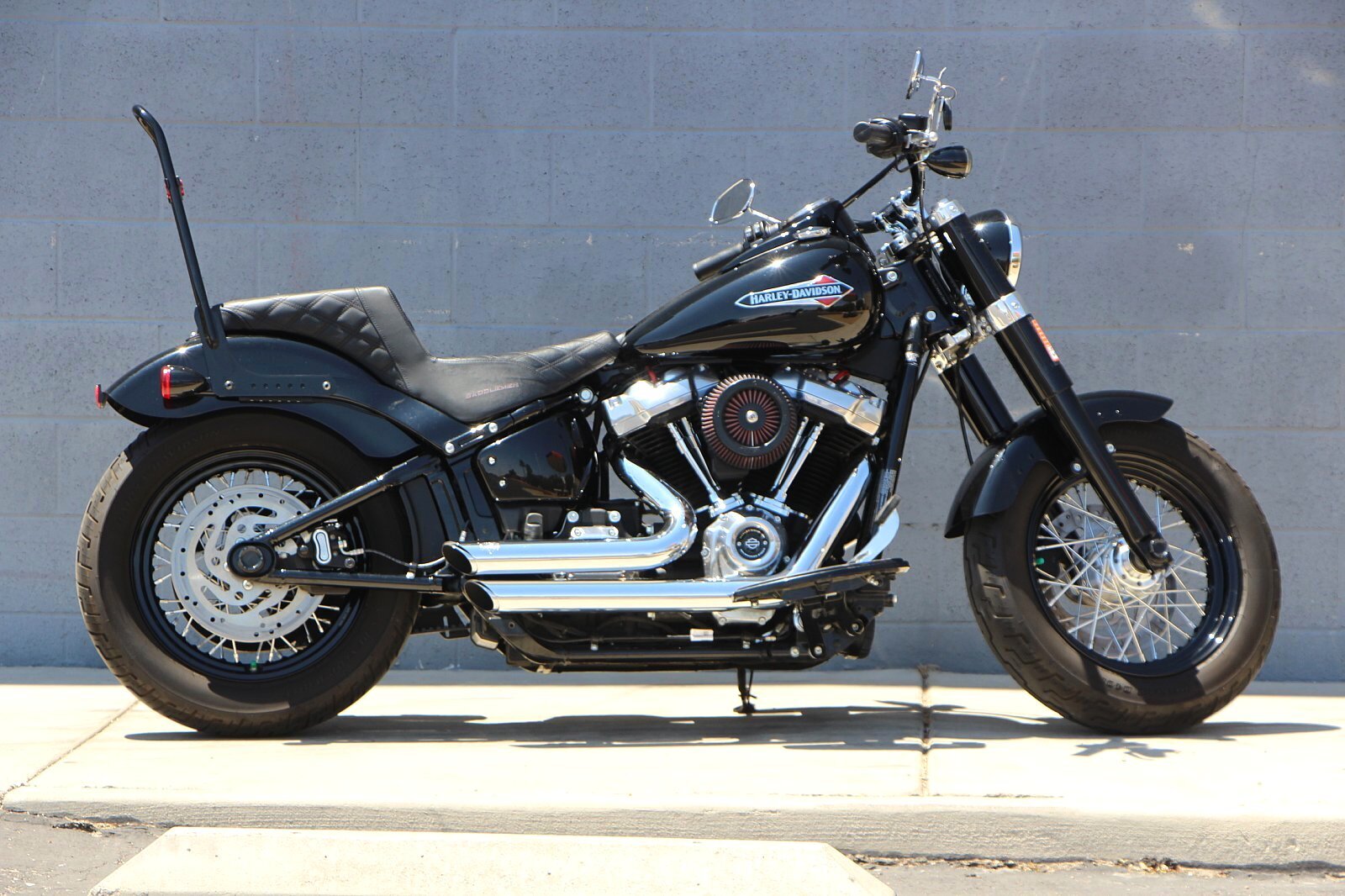 2019 Harley-Davidson Slim [19]