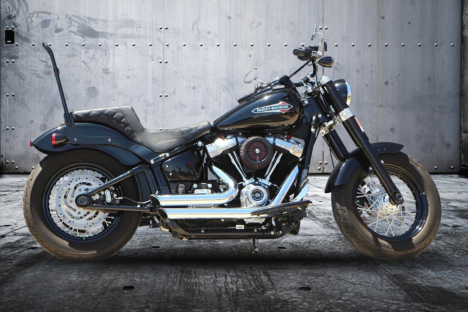 2019 Harley-Davidson Slim [1]