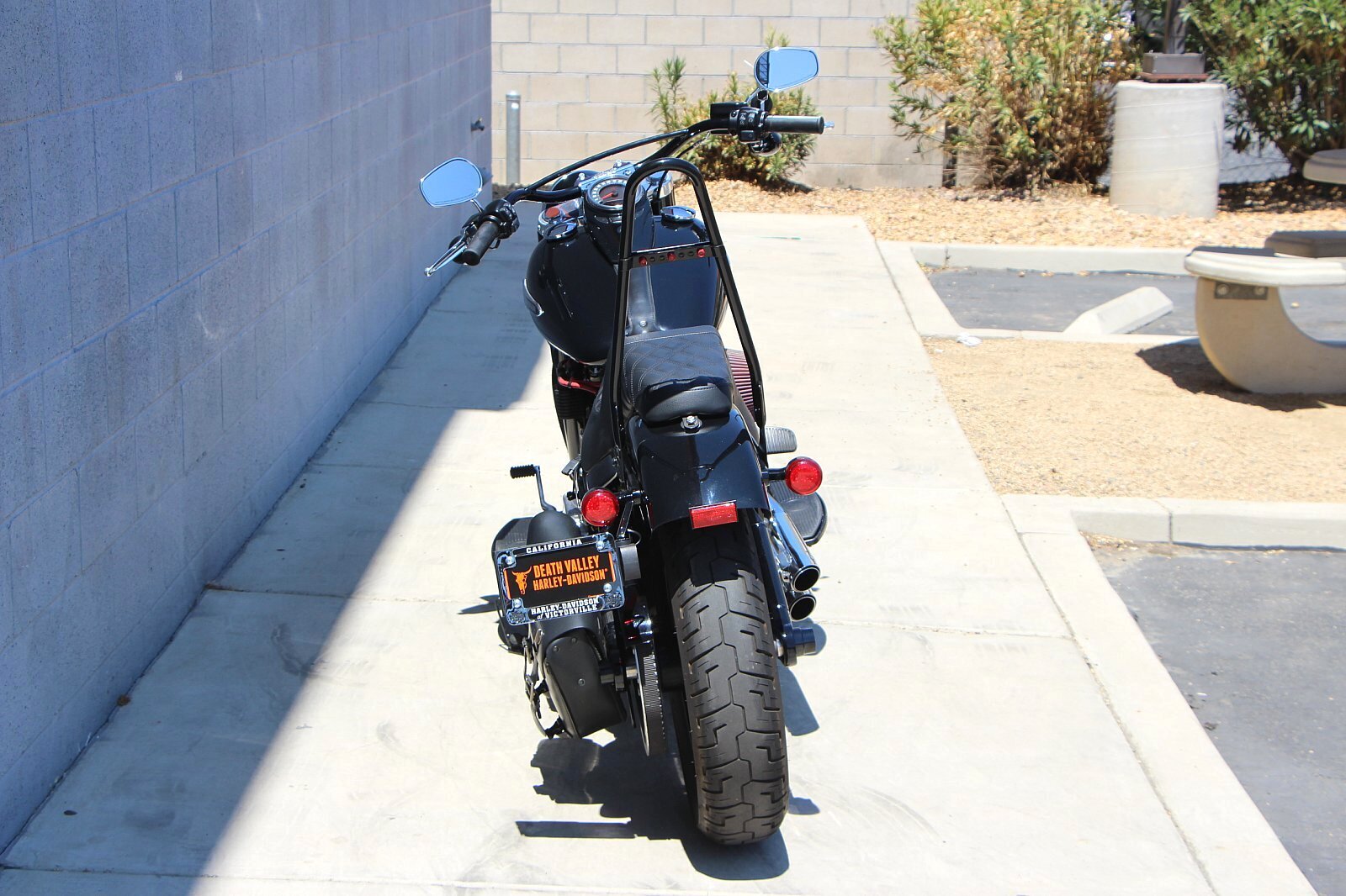 2019 Harley-Davidson Slim [11]