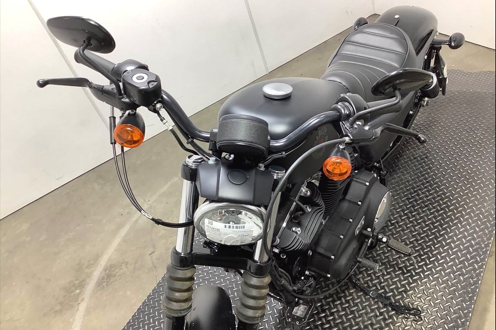 2020 Harley-Davidson Iron 883 [3]