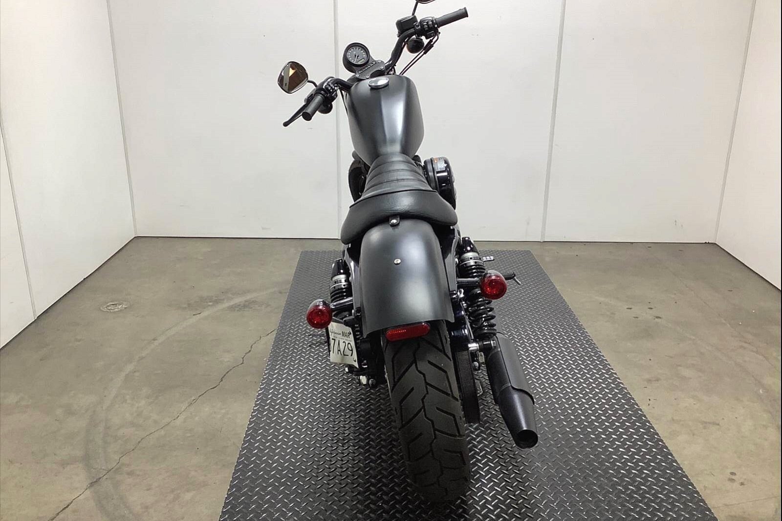 2020 Harley-Davidson Iron 883 [5]