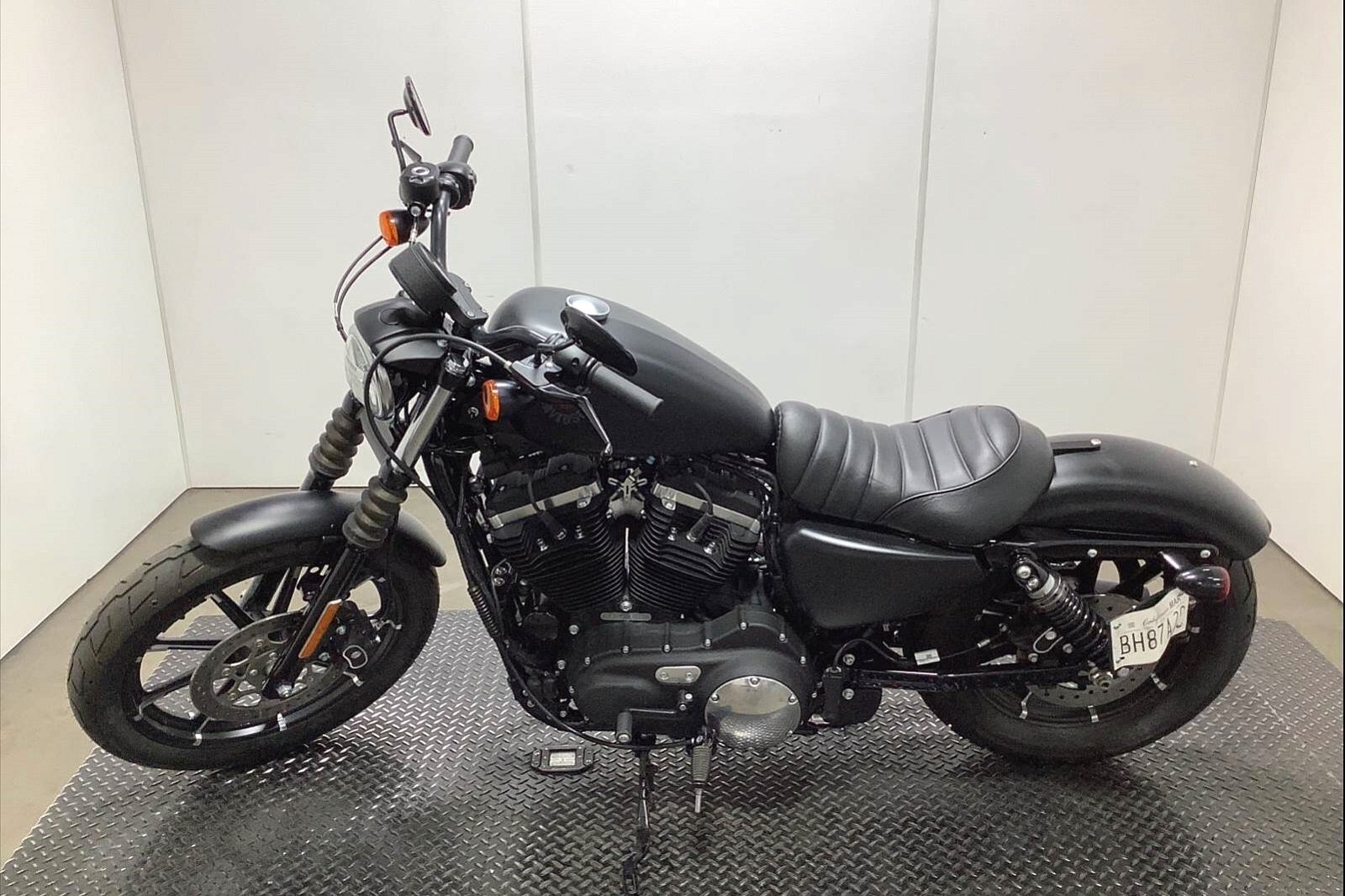 2020 Harley-Davidson Iron 883 [2]