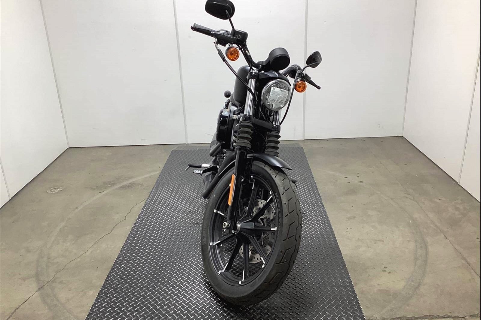 2020 Harley-Davidson Iron 883 [1]