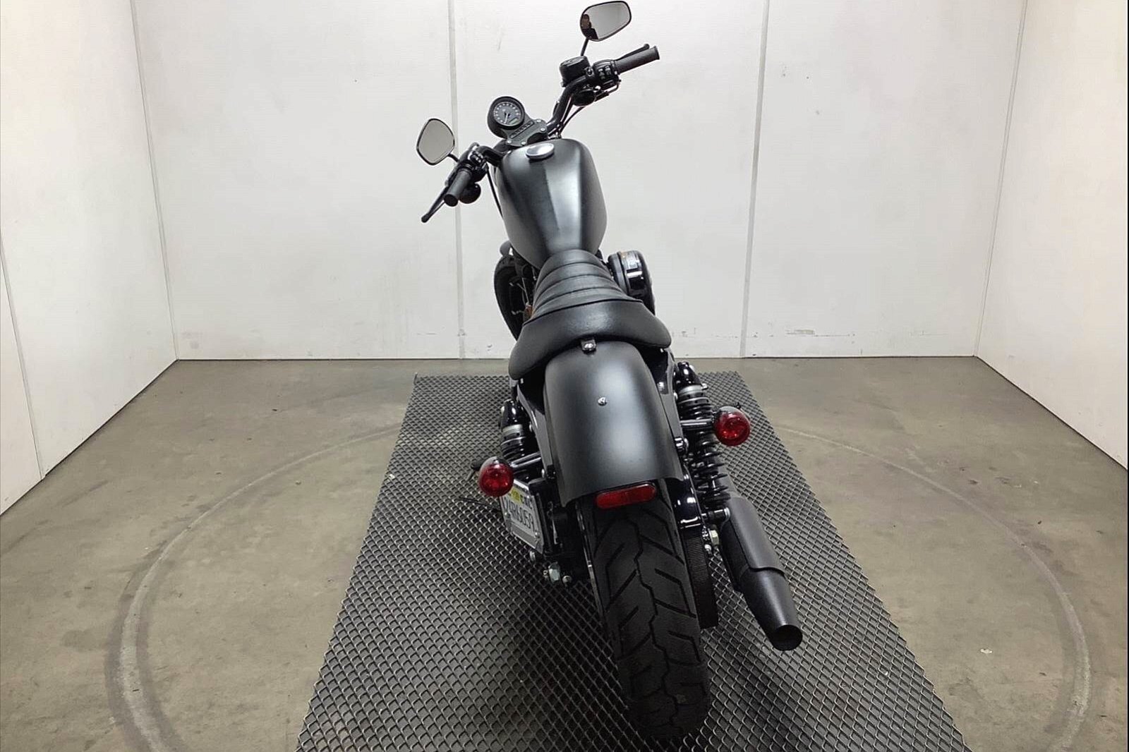 2020 Harley-Davidson Iron 883 [3]