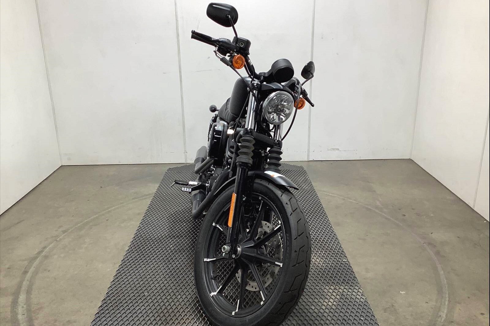 2020 Harley-Davidson Iron 883 [1]