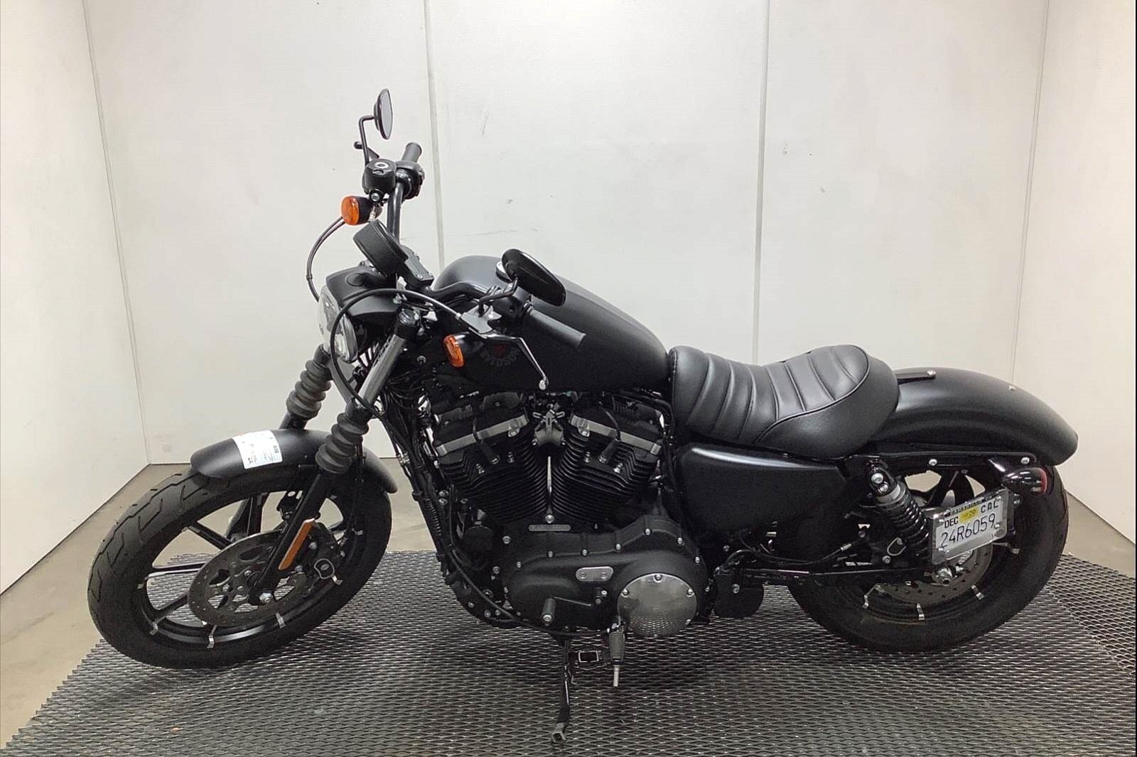 2020 Harley-Davidson Iron 883 [2]