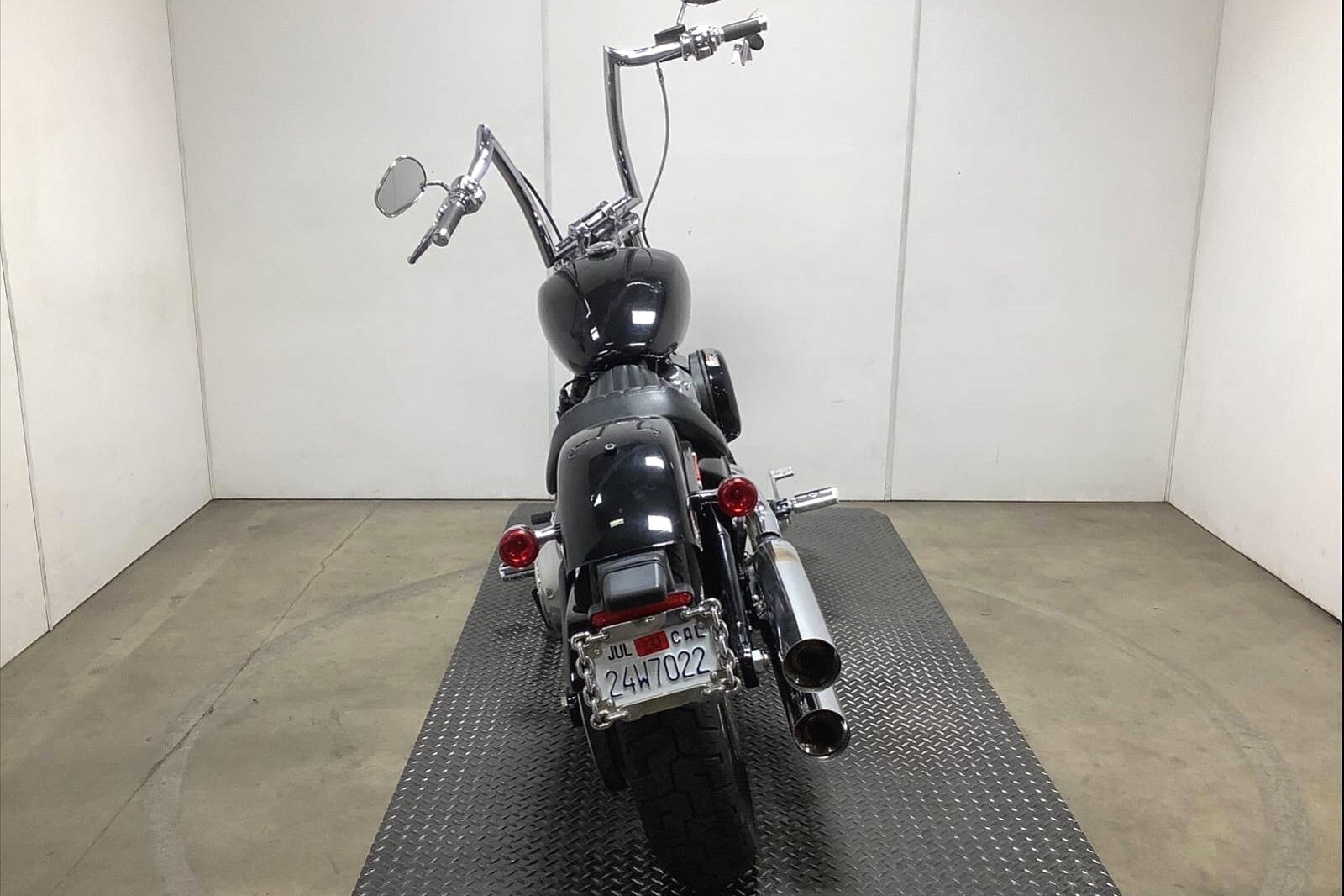 2020 Harley-Davidson Softail Standard [3]