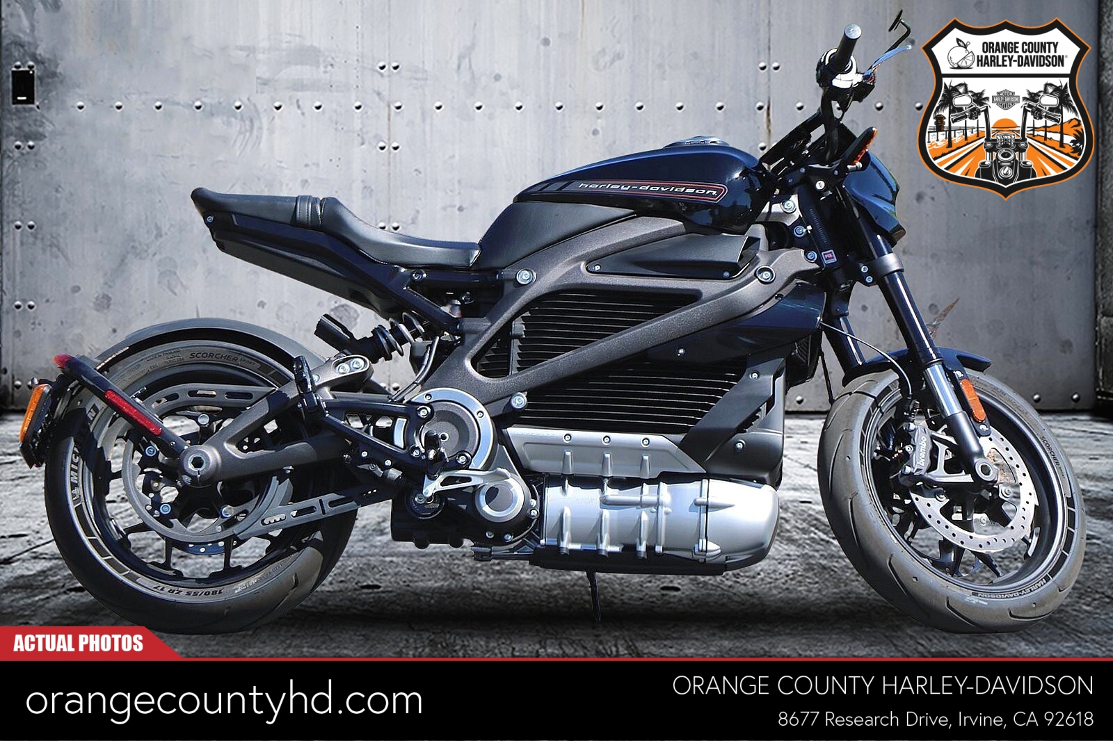 120 New Motorcycles In Stock Serving Carson City Sparks Lake Tahoe Nv